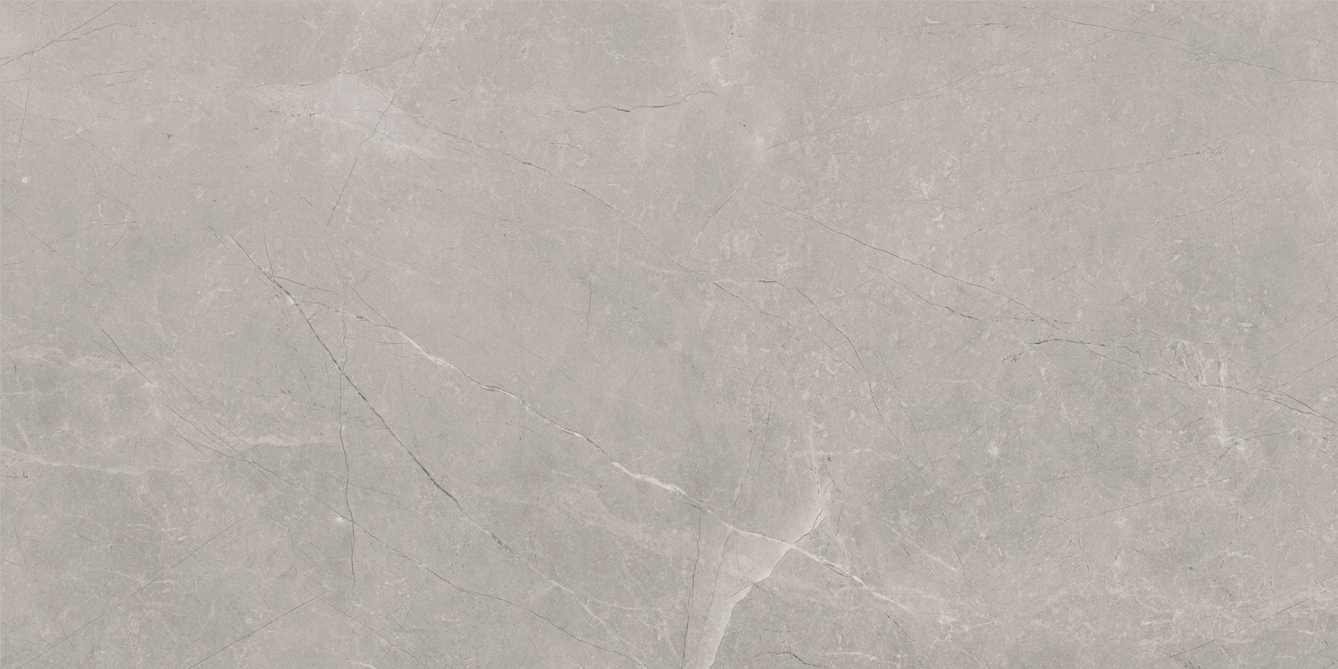 Bayona Silver Natural 60x120  Baldocer фото 7