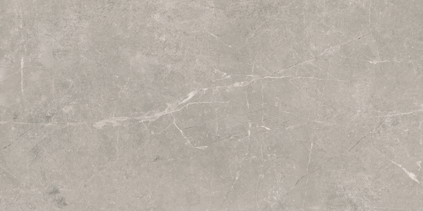 Concept Gray Pulido 60x120 Baldocer