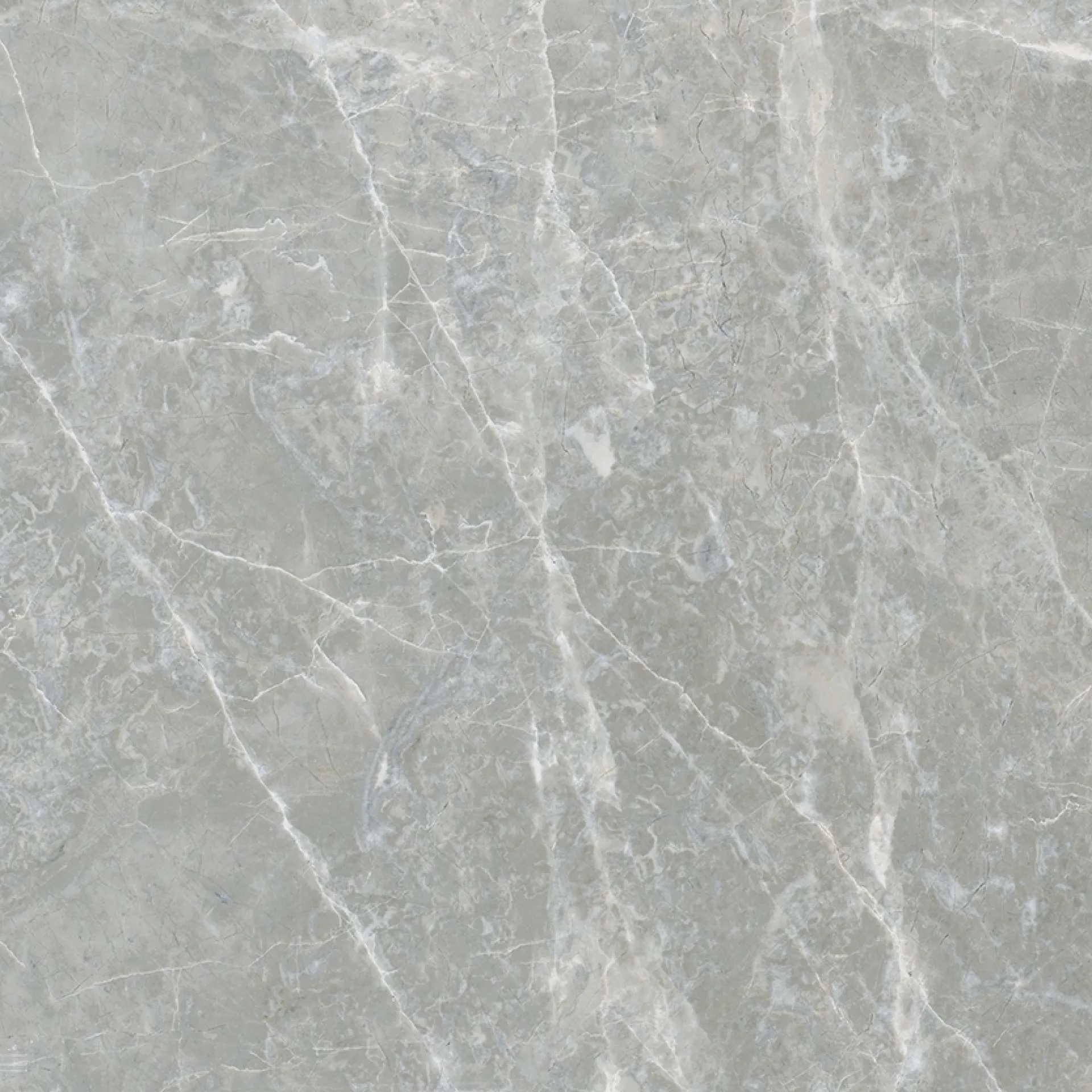 610010005763 Canova Grey Ret 60x60 ColiseumGres