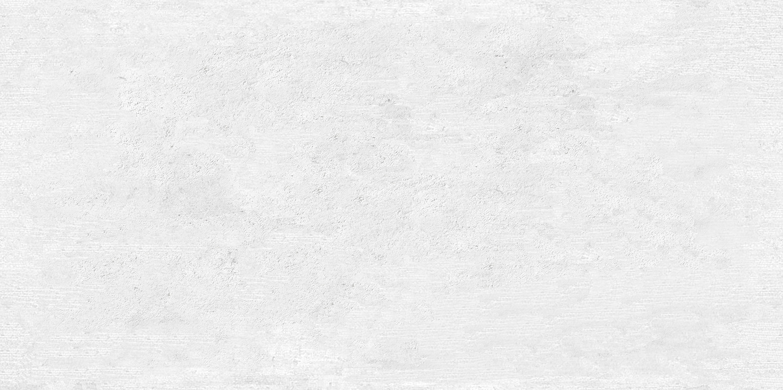 WT9BTN00 Beton Gray 24.9х50 AltaCera