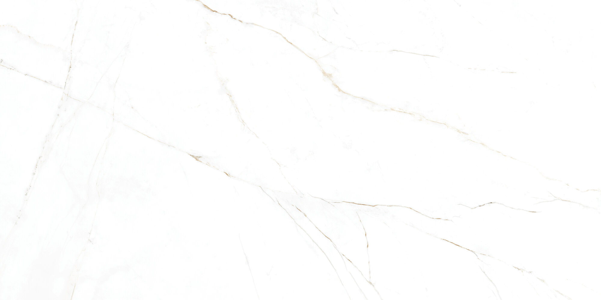 31741 Dual White EP 60x120 Peronda фото 16