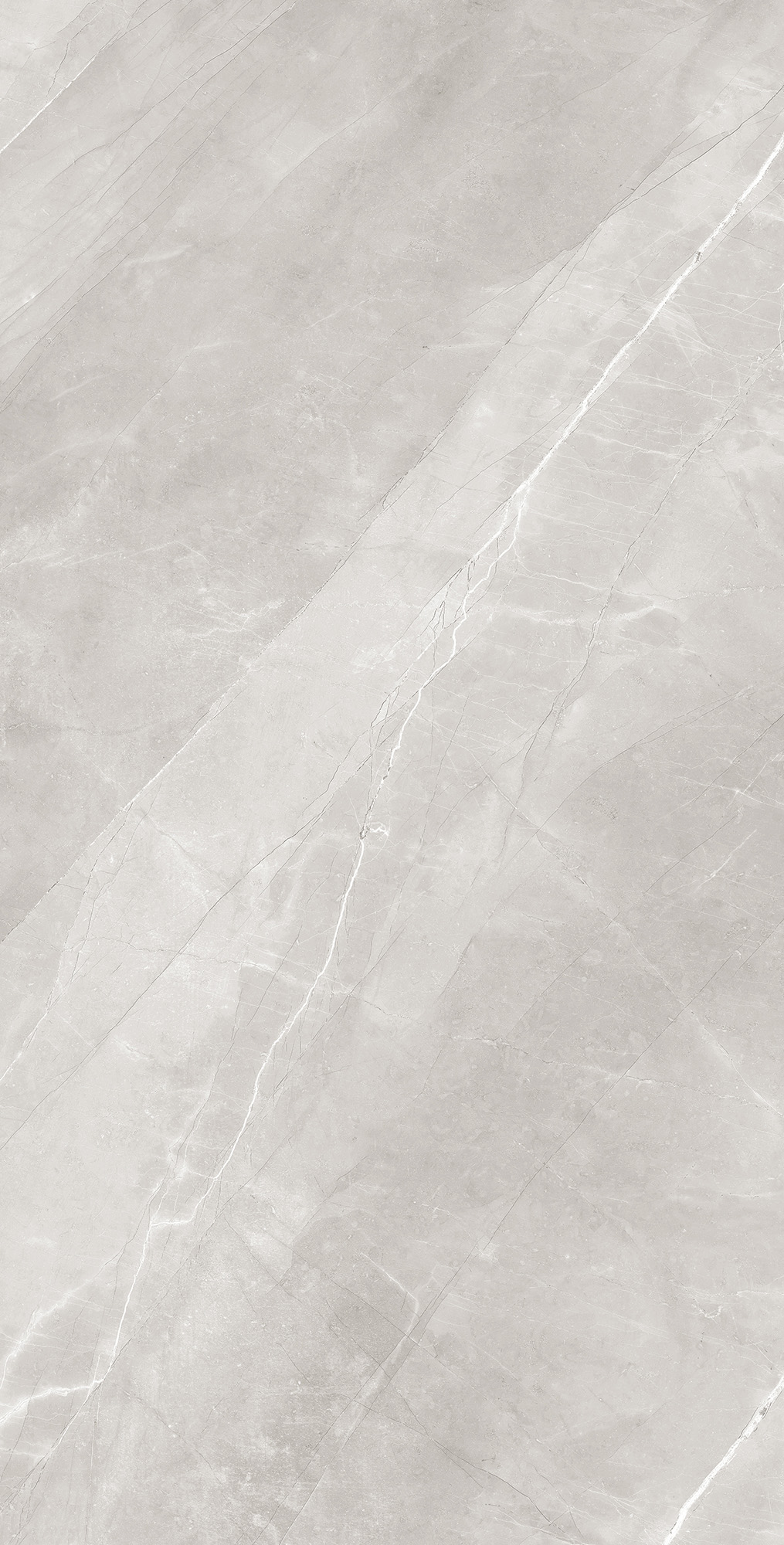 RT7013-A Armani Silver Matt Rustic 60x120 Arcadia Ceramica
