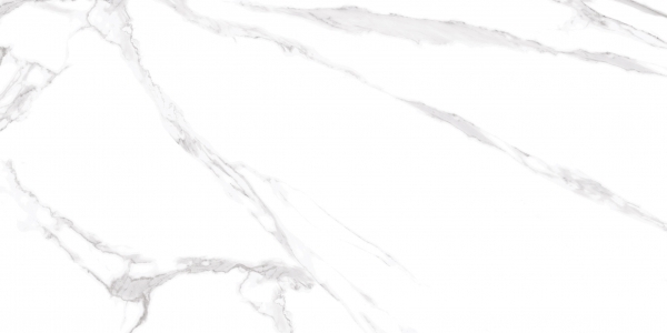 Albeta Statuario 60x120 Realistik