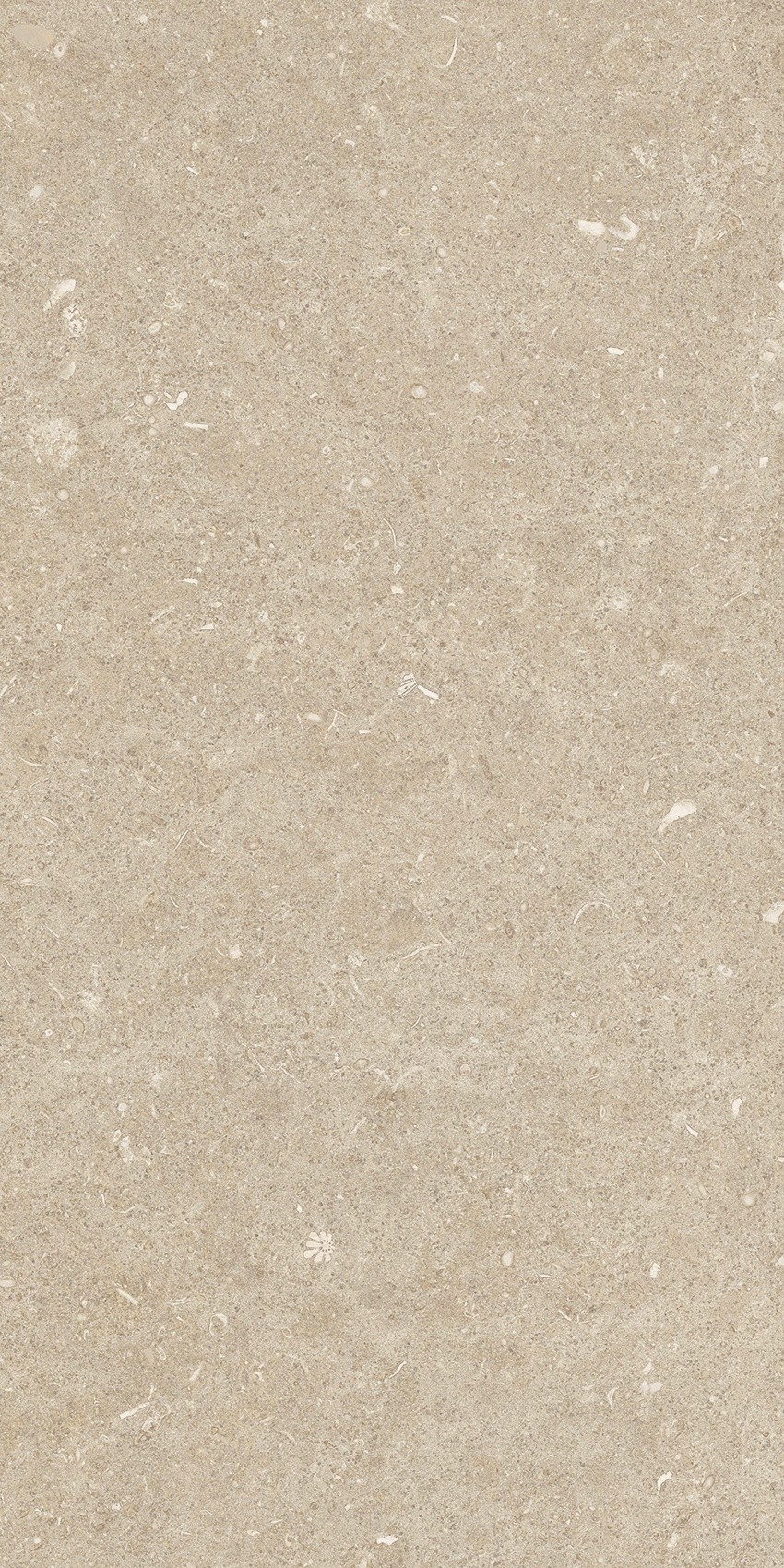 785489 Rinascenza Arena Conchiglia Matte 30x60 Casa Dolce Casa фото 6