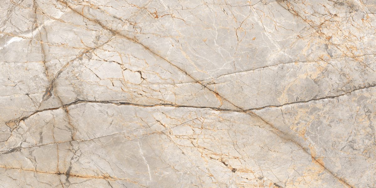 N80036 Silver Stream Carving 60x120 Neodom фото 2