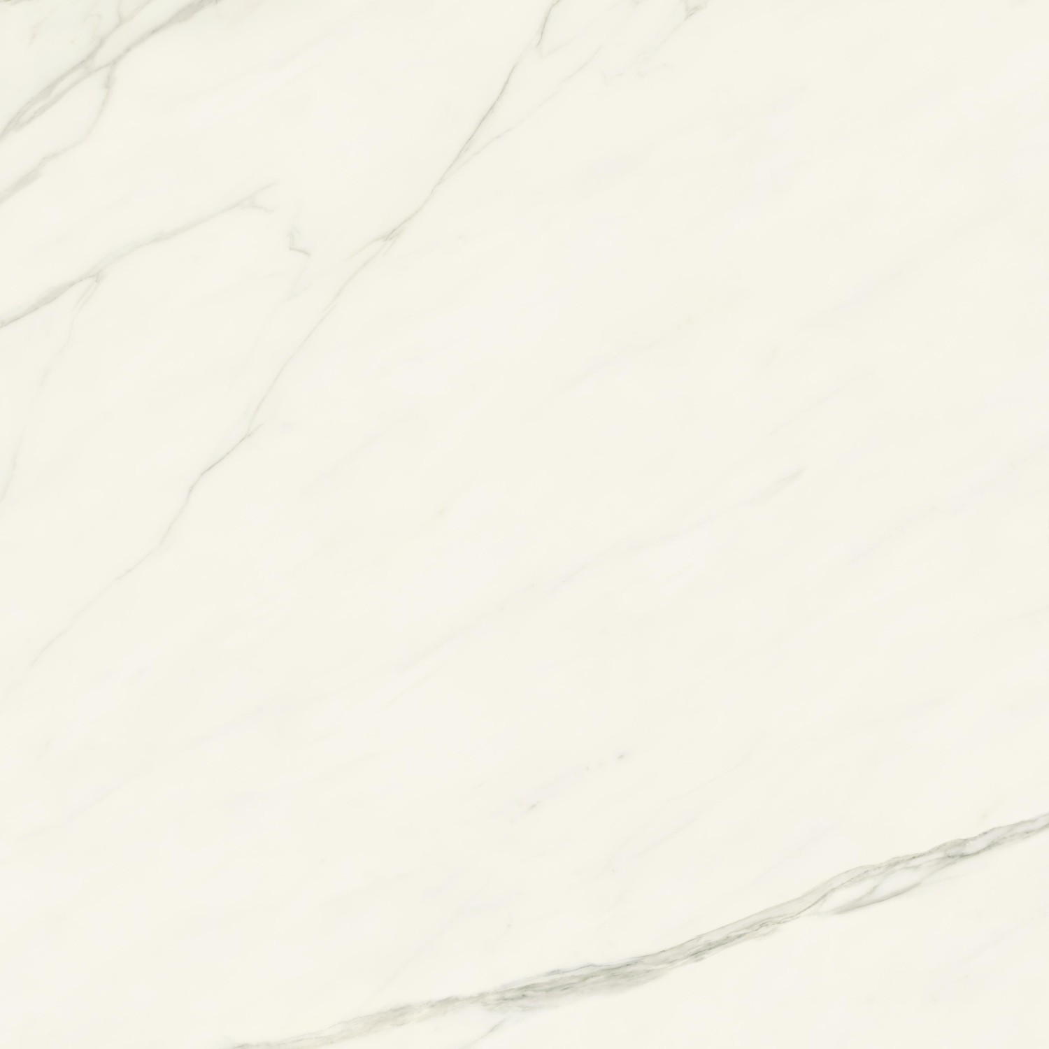AJII Marvel Meraviglia Calacatta Meraviglia Velvet 120x120 Atlas Concorde