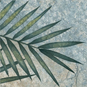 TR3333 Tropic 33х33 Serapool