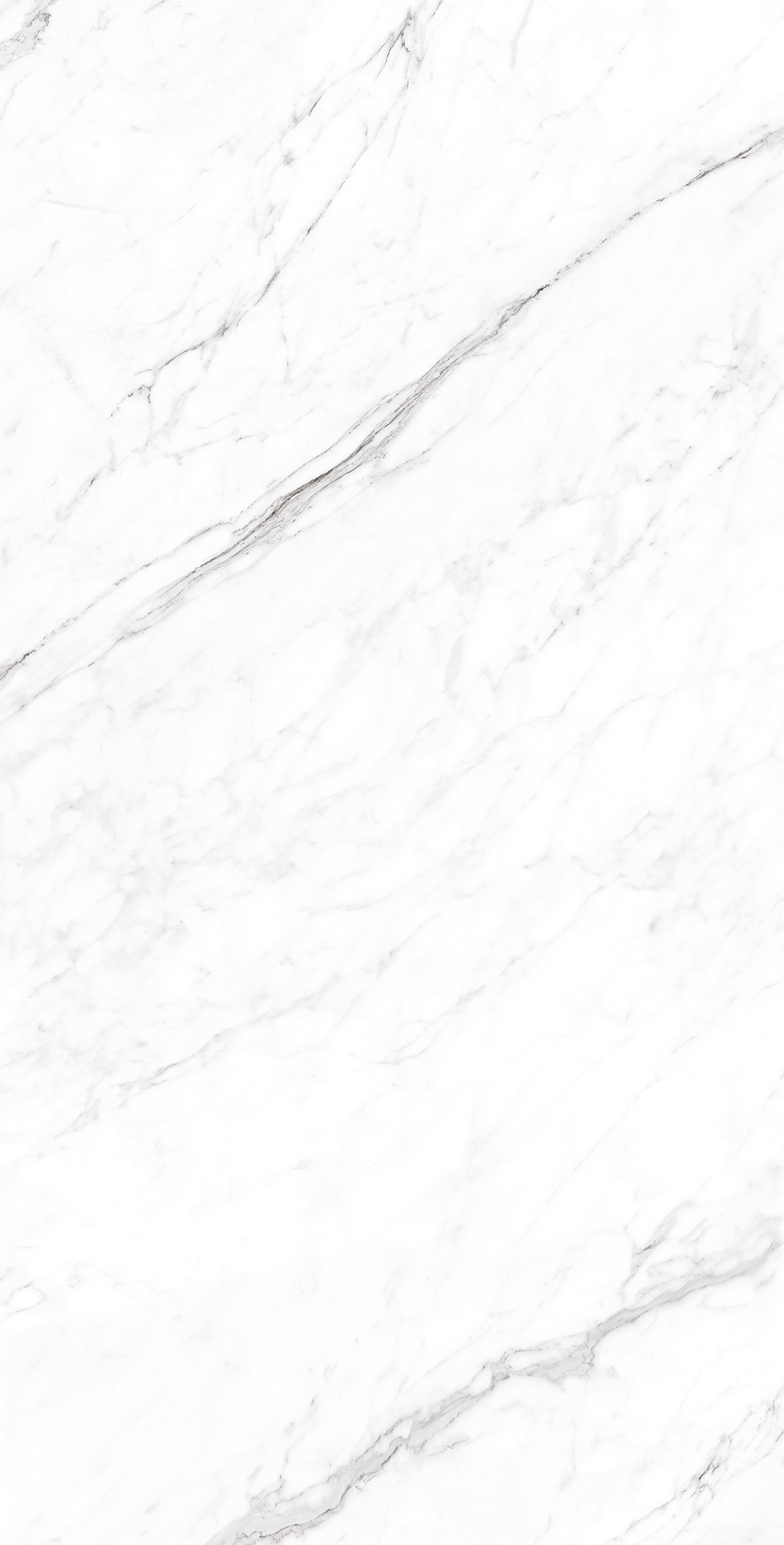 CP4003-A Coralina White Carving Pro 60x120 Arcadia Ceramica