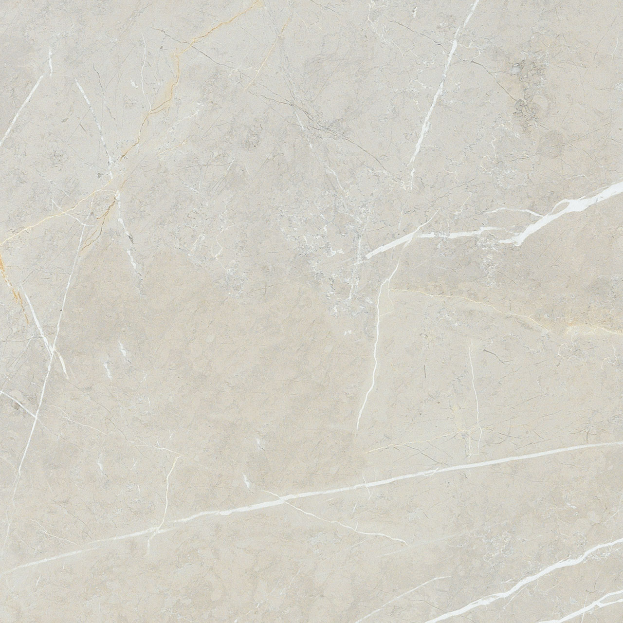 BB6NTT9101P Bright And Shiny 60x60 NT Ceramic