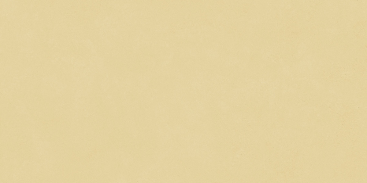 N12037 Blossom Sun Matt 60x120 Neodom