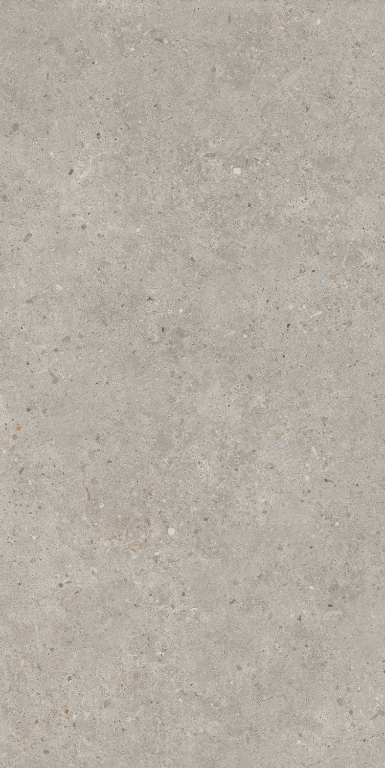 SG519920R Риккарди серый светлый матовый обрезной 60х119,5 Kerama Marazzi фото 6