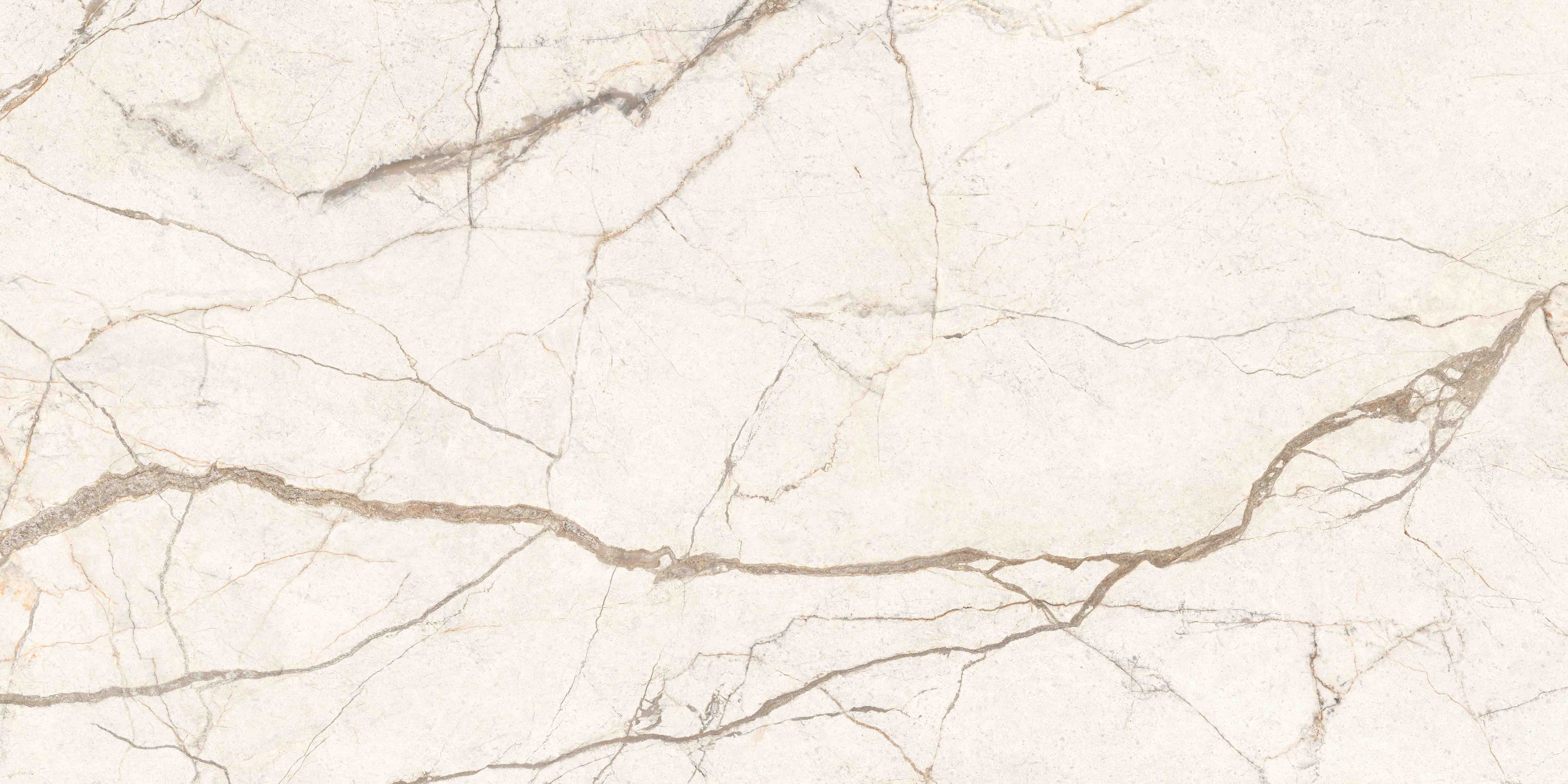 K958001R0001VTER SilverRoot Слоновая Кость Матовый R10A Ректификат 60x120 Vitra фото 11