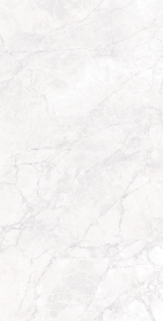 CR4007-A Arctic White Carving 60x120 Arcadia Ceramica