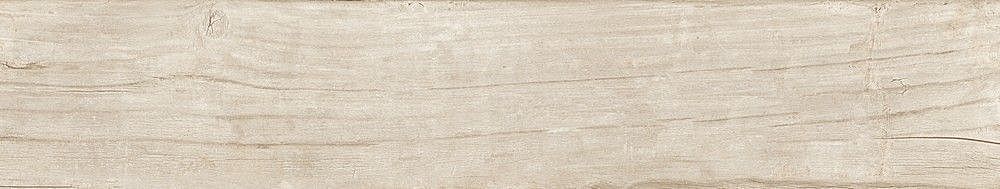 189003 Quercus Betulla 22x120 Dune