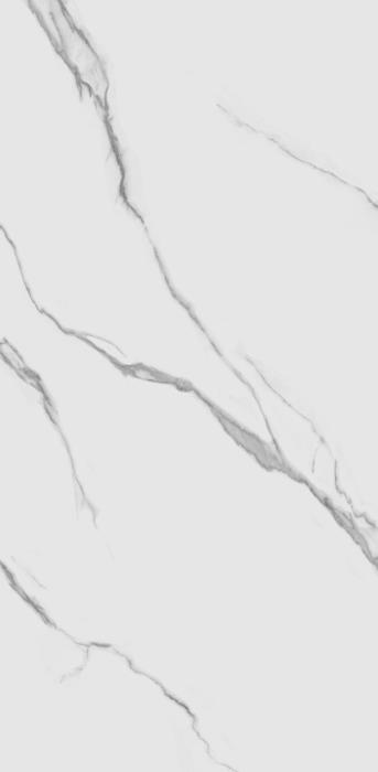 TP612M001 Авиталь матовый 60x120 PrimaVera фото 6