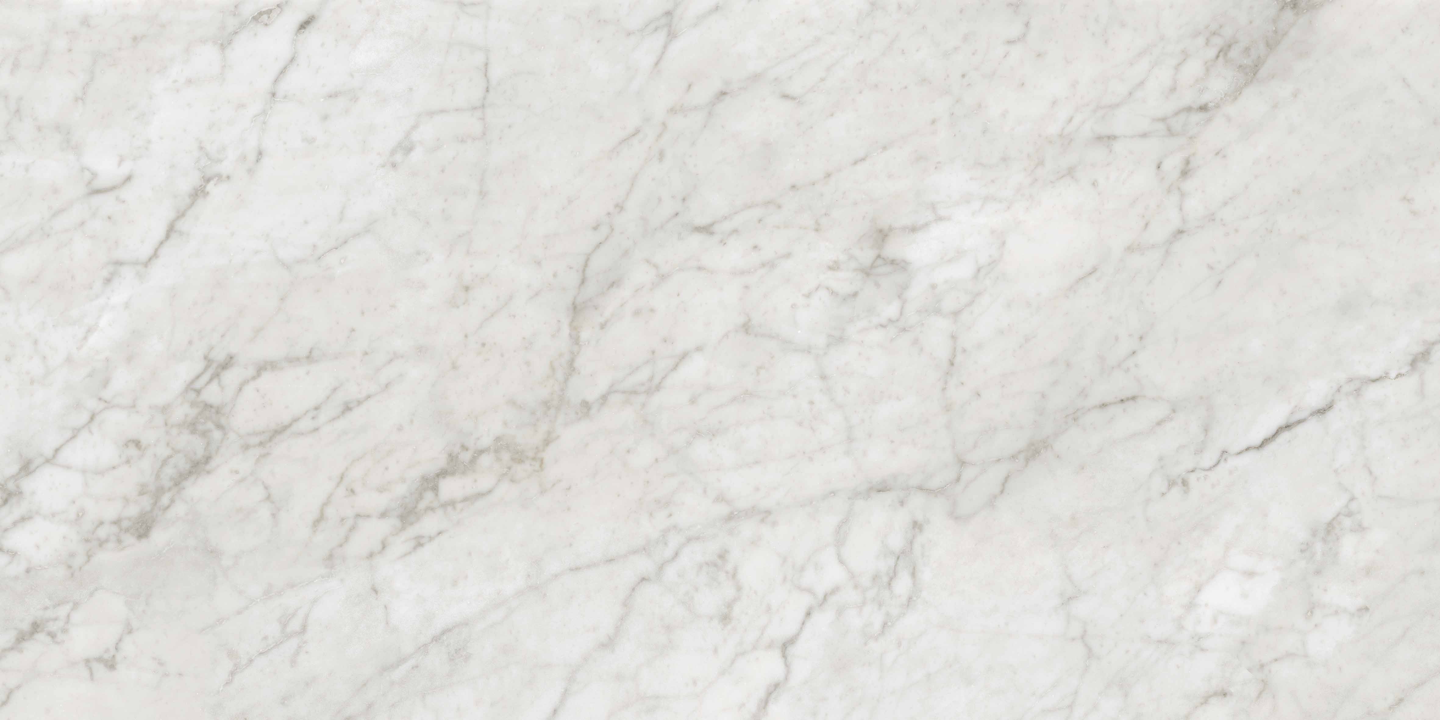 PF60020803 Bon Ton Carrara Nat 3D Ret 60x120 Gardenia Orchidea (Versace) фото 15