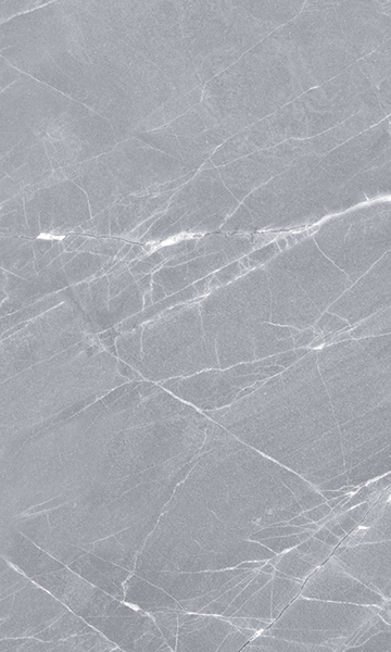 Elegance Grey 02 30x50 Gracia Ceramica
