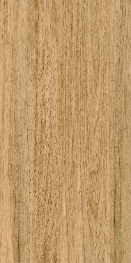 Greenwood Great Matt 60x120 Bonaparte фото 2