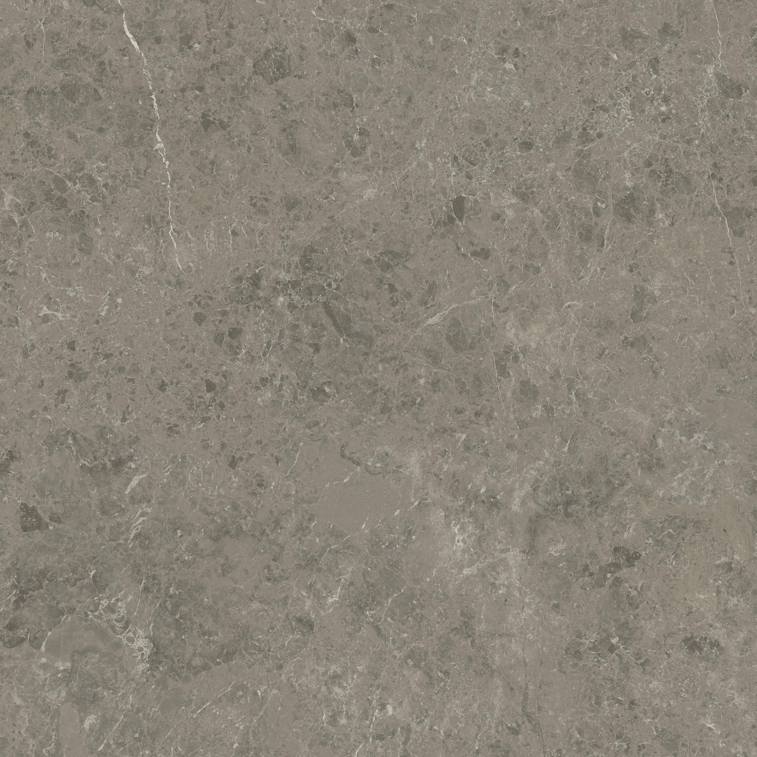 AJIL Marvel Meraviglia Grigio Elegante Velvet 120x120 Atlas Concorde