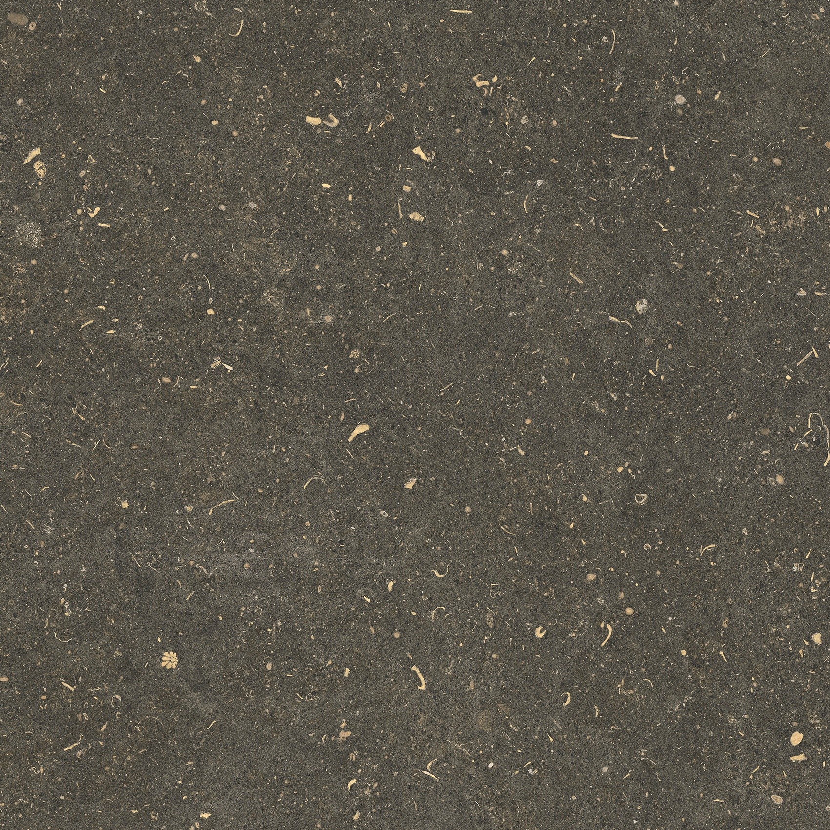 785487 Rinascenza Arena Platino Matte 60x60 Casa Dolce Casa фото 9