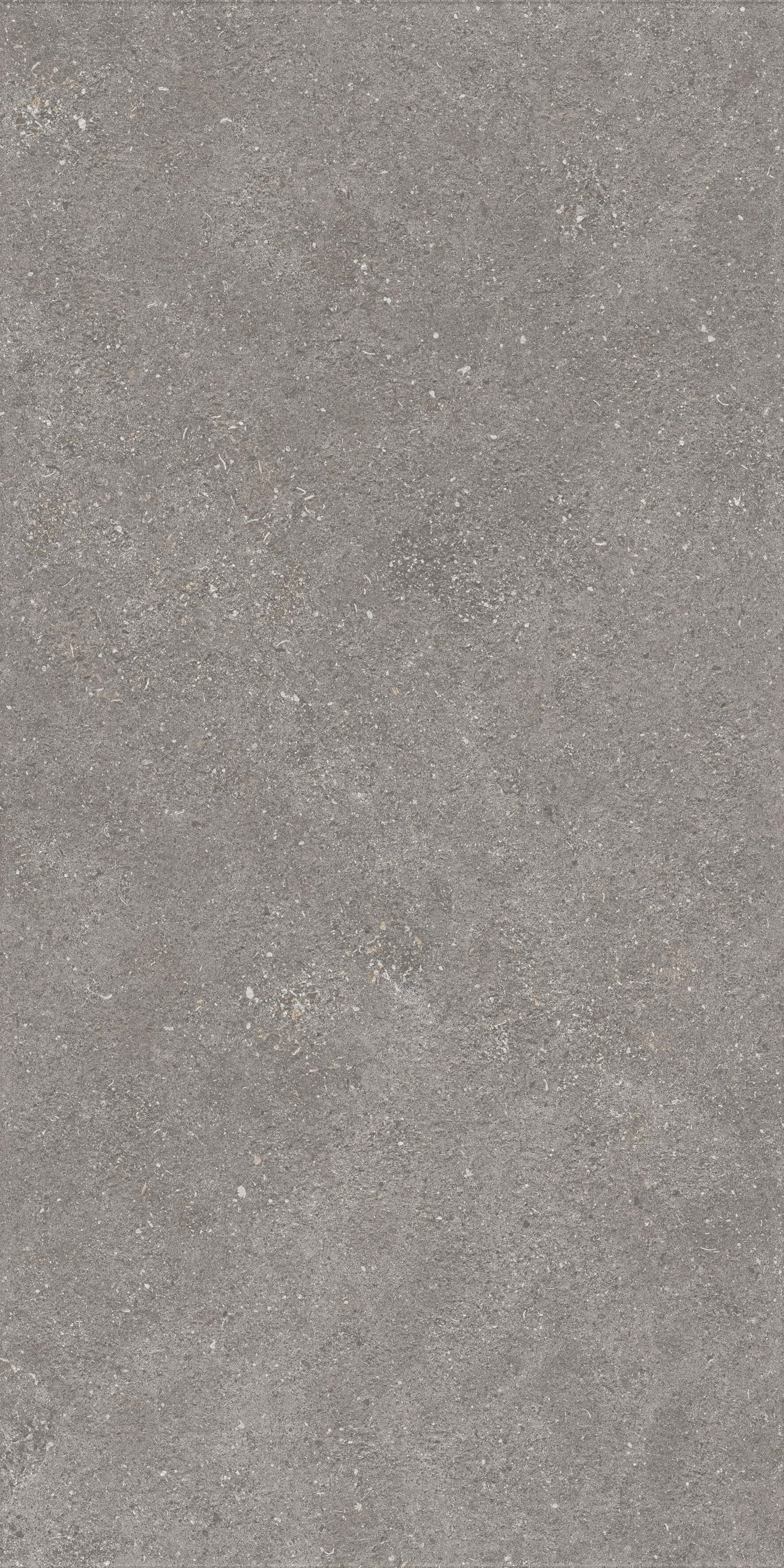 1224 Graniti Grey Matt Ghr 120x60 Artcer фото 2