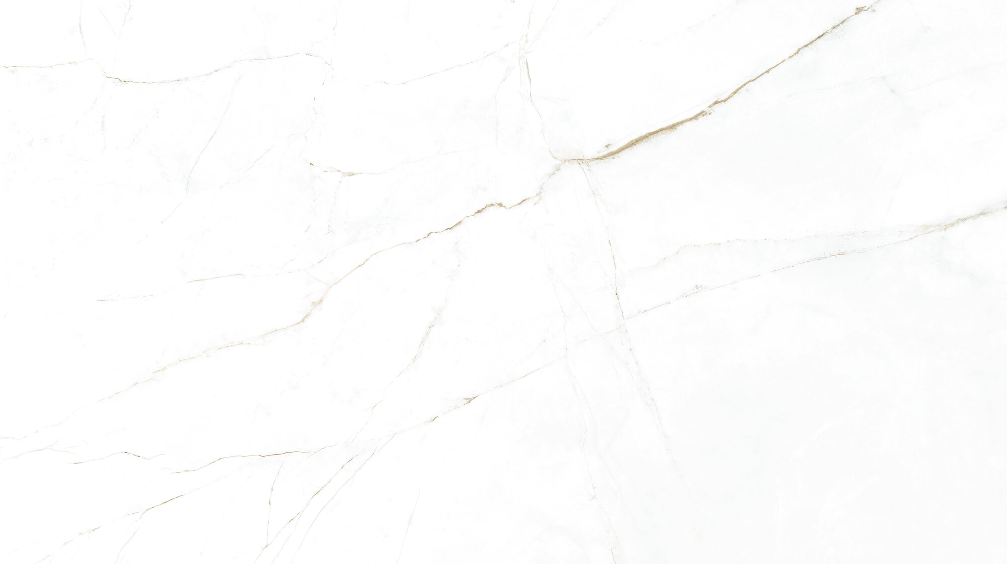 31744 Dual White SP/100X180/R 100х180 Peronda фото 6