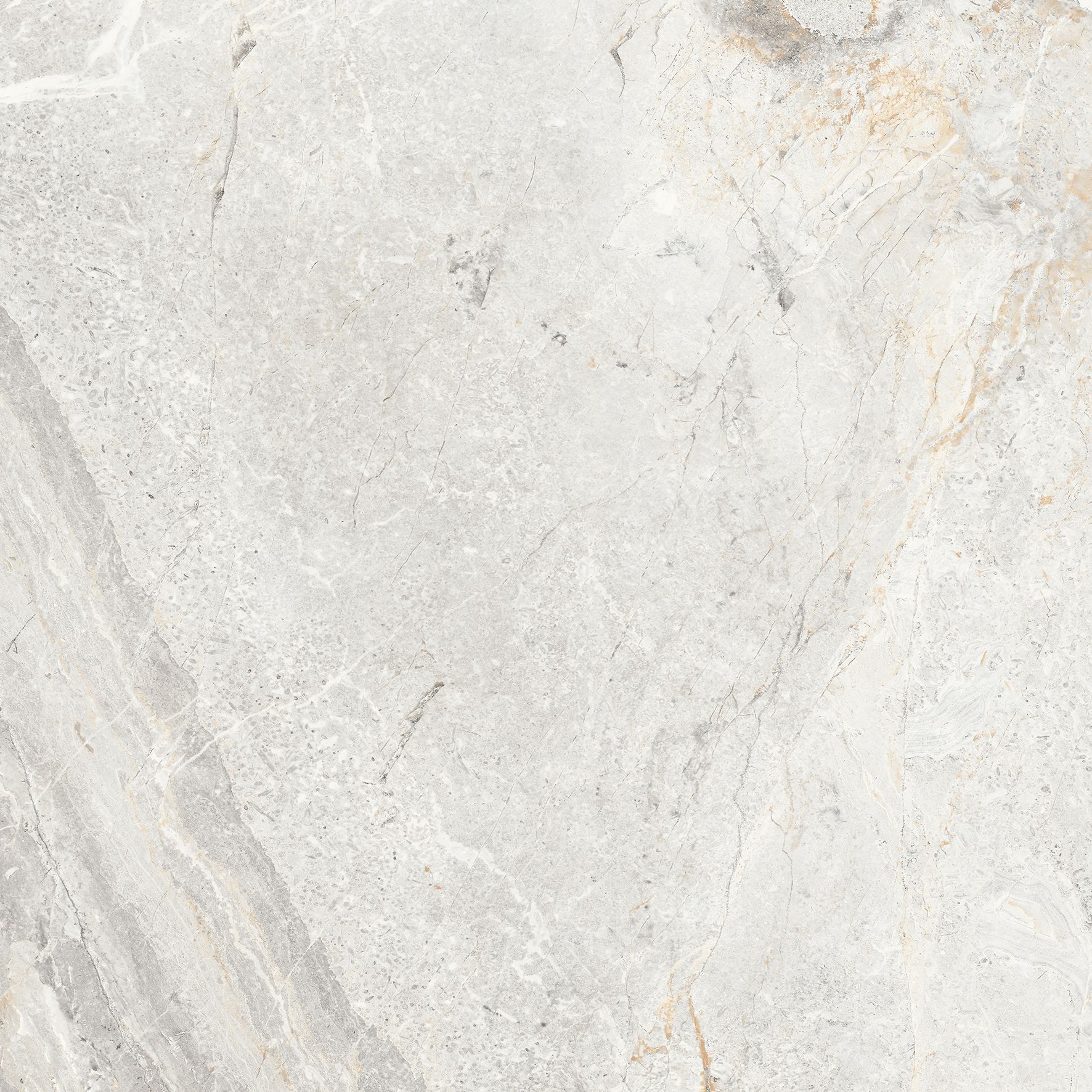 Esme White Sugar Carving 60x60 Realistik