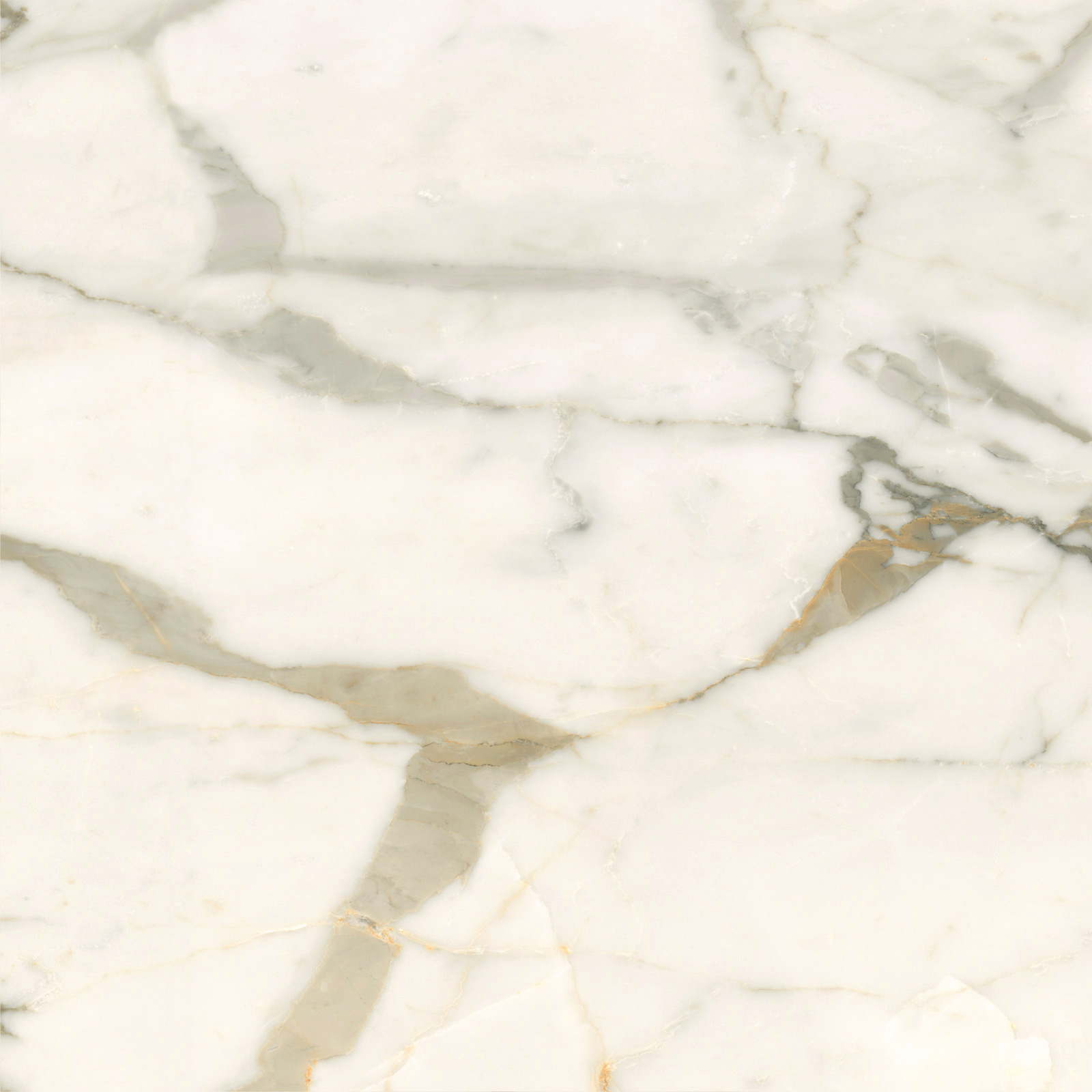 6060CBO55P Calacatta Borghini 60x60 LCM