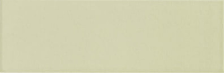 Jungle Mint 10х30 Mainzu