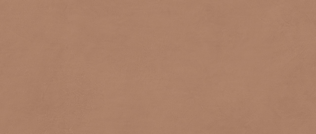 AYR9 Boost Expression Sienna Matte 50x120 Atlas Concorde
