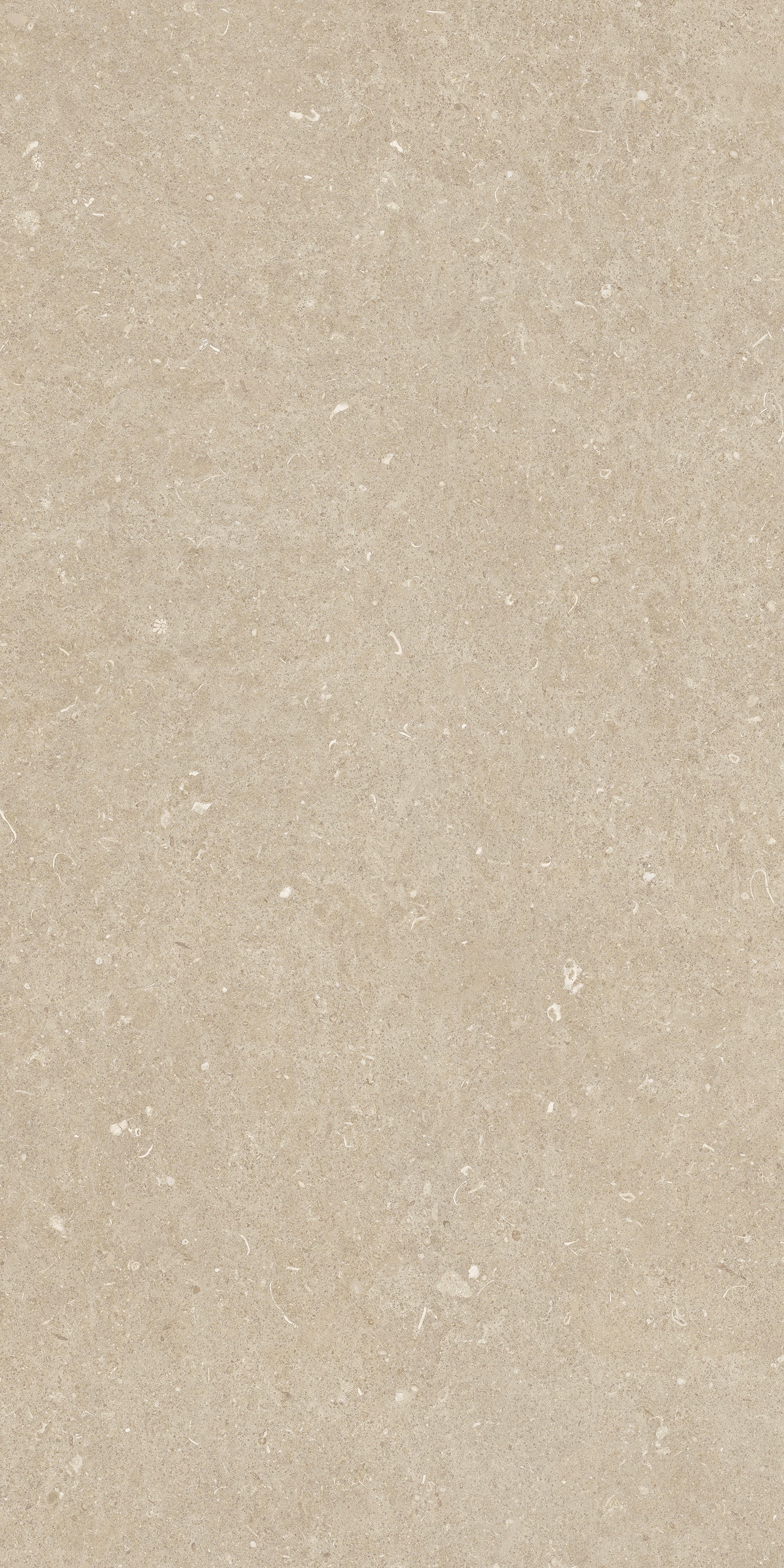 785493 Rinascenza Arena Conchiglia Grip 60x120 Casa Dolce Casa фото 5