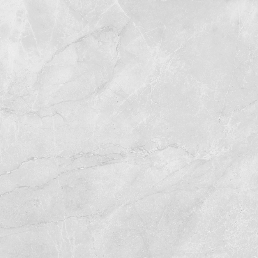 LP6060G0241R Berna Silver светло-серый матовый 59,5х59,5 Laparet