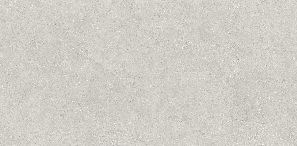 N110007 Liberty Grey Matt 60x120 Neodom фото 2