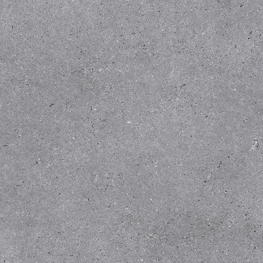 NR120 Nemo Grey 60x60 PrimaVera