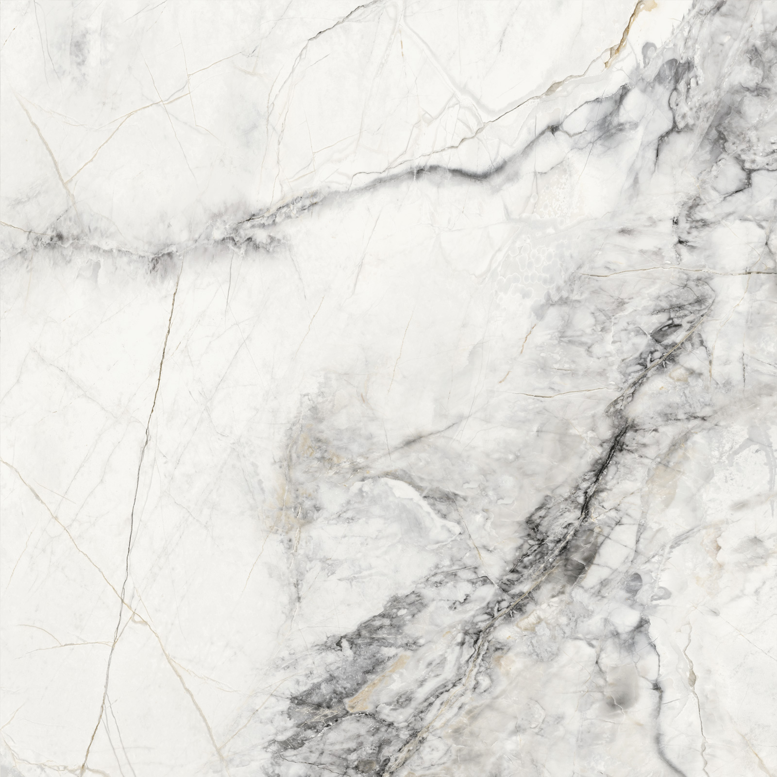 6060TEE15 Tenerife Sugar 600x600x9.5 Delacora