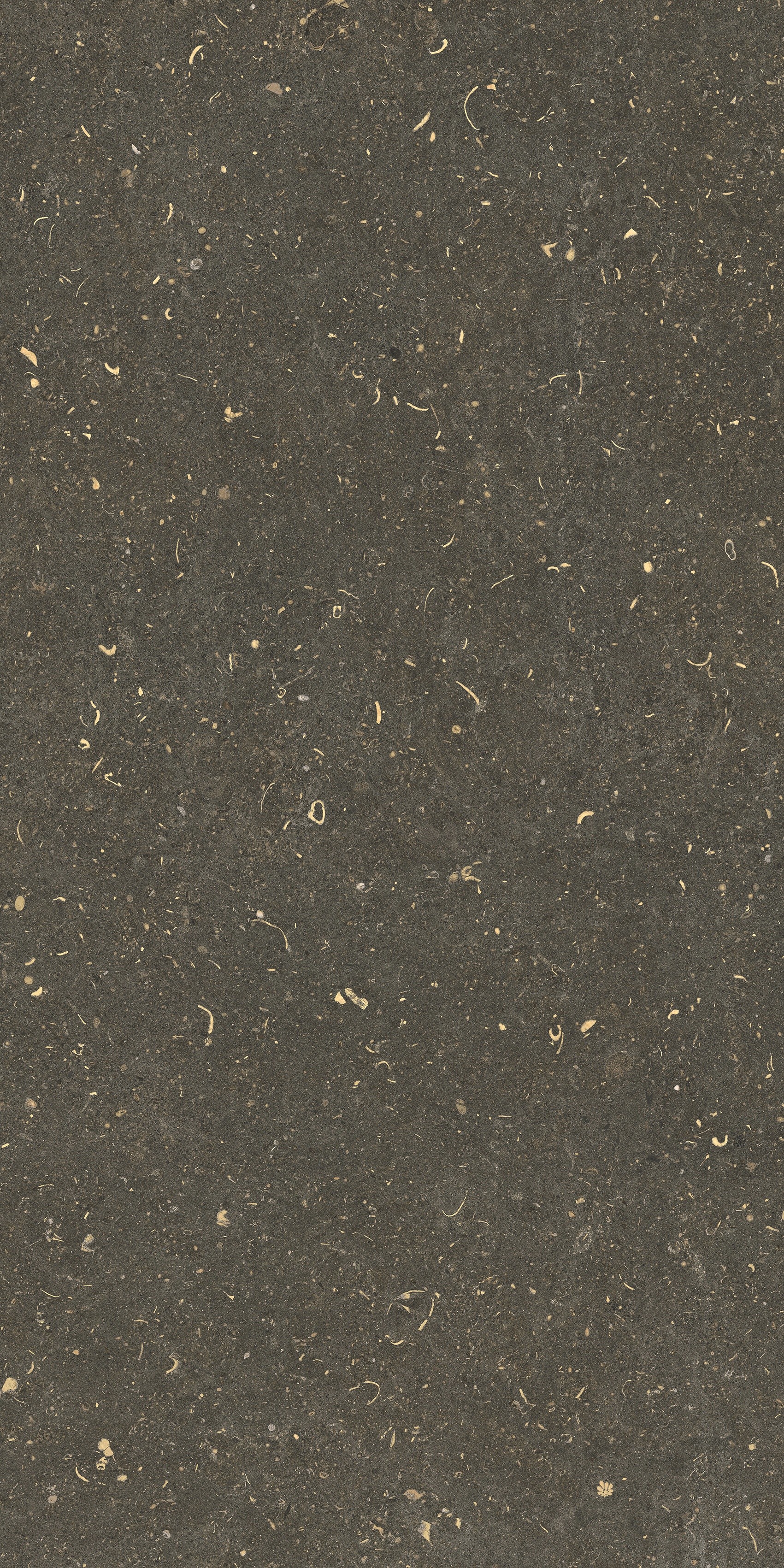 785483 Rinascenza Arena Platino Matte 60x120 Casa Dolce Casa фото 10