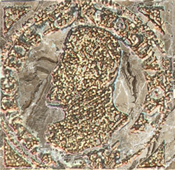 OLAMBRILLA FORTUNE NOCE 7x7 Ceracasa
