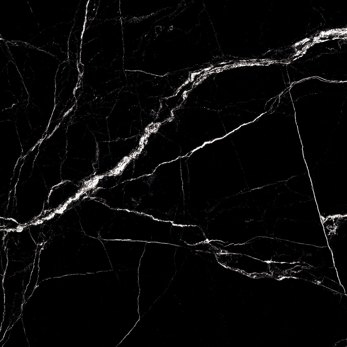 Fossil Slate High Gloss 60x60 Staro