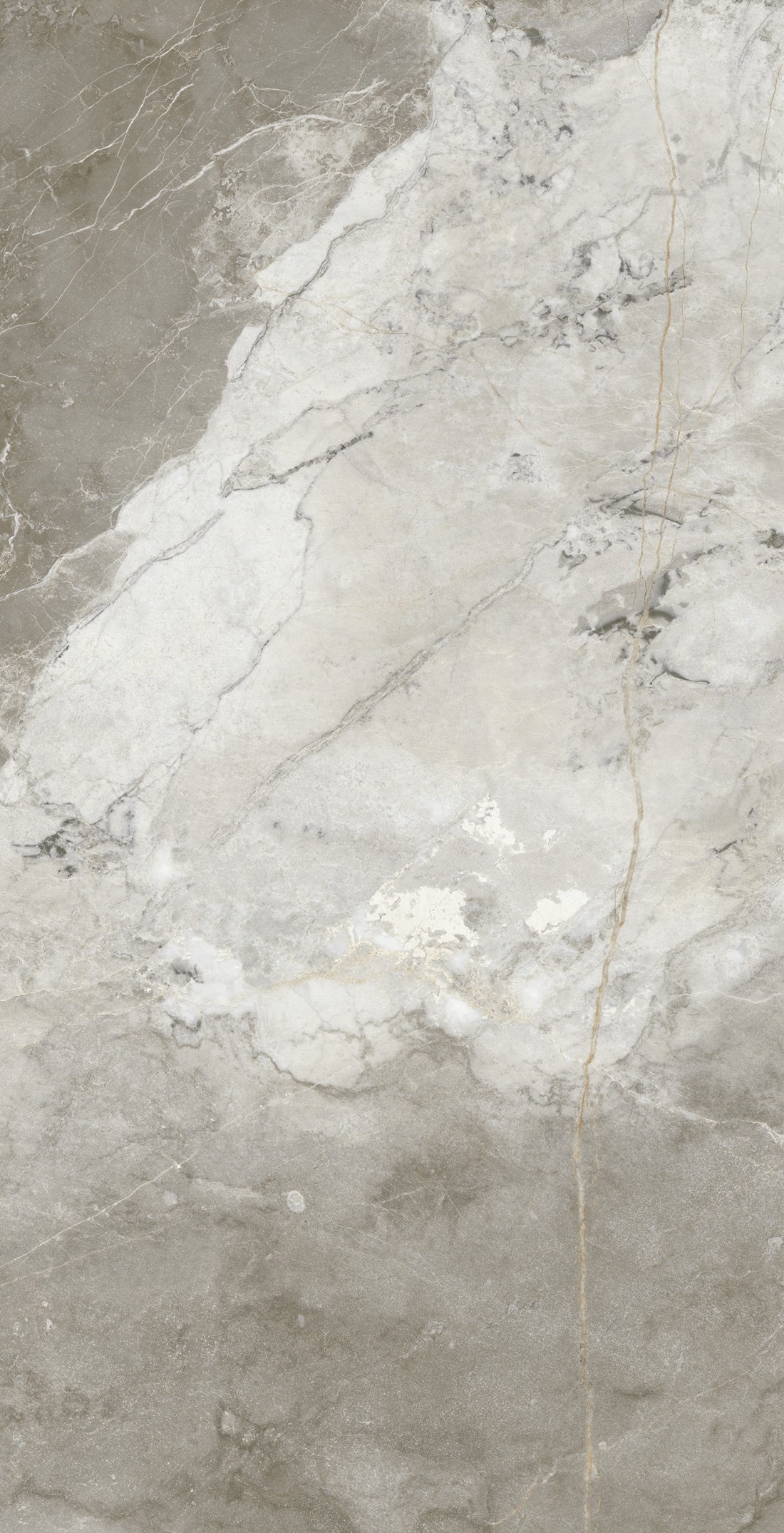 Manila Polished Golden Carving 60x120 Realistik фото 3