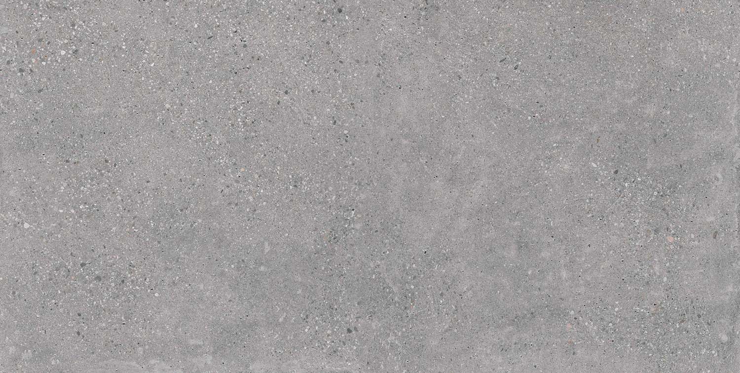 Memory Gris Matt 60x120 Geotiles
