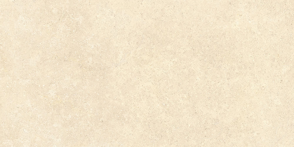 SandStone Песочный Матовый R10A Ректификат 9мм 60х120 Vitra