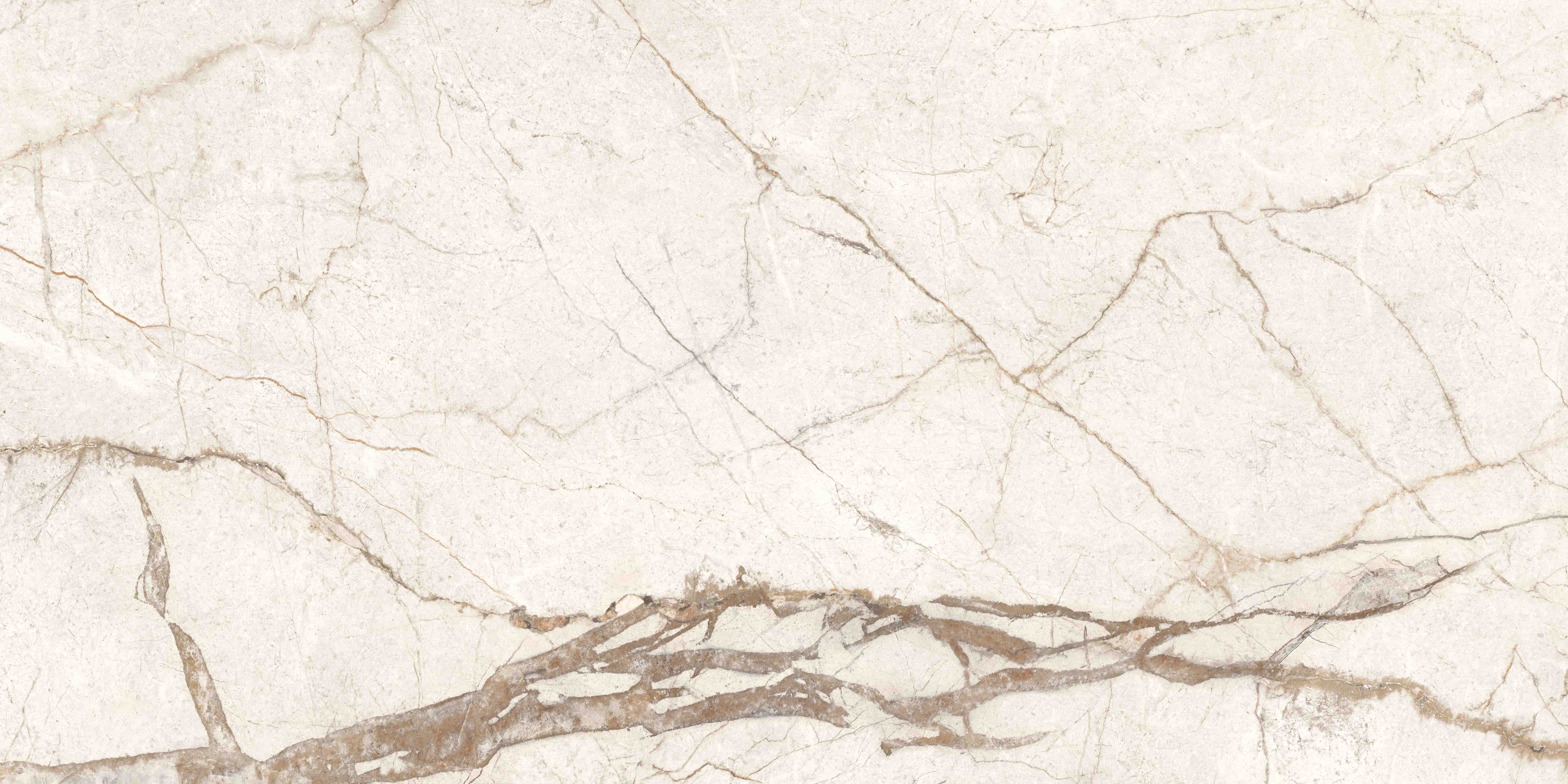 K958001R0001VTER SilverRoot Слоновая Кость Матовый R10A Ректификат 60x120 Vitra фото 2