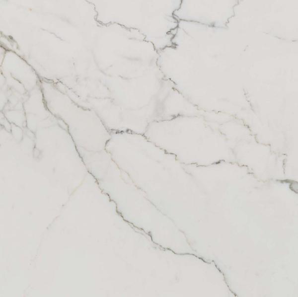 302861 Supreme Calacatta Rett 60x60 Dado Ceramica