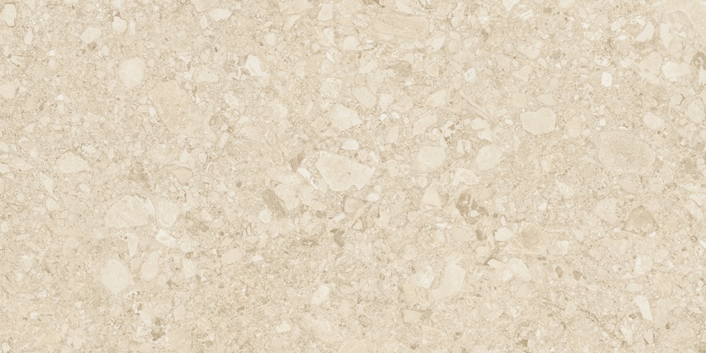 Ceppo Di Clay GHR 60x120 Duna