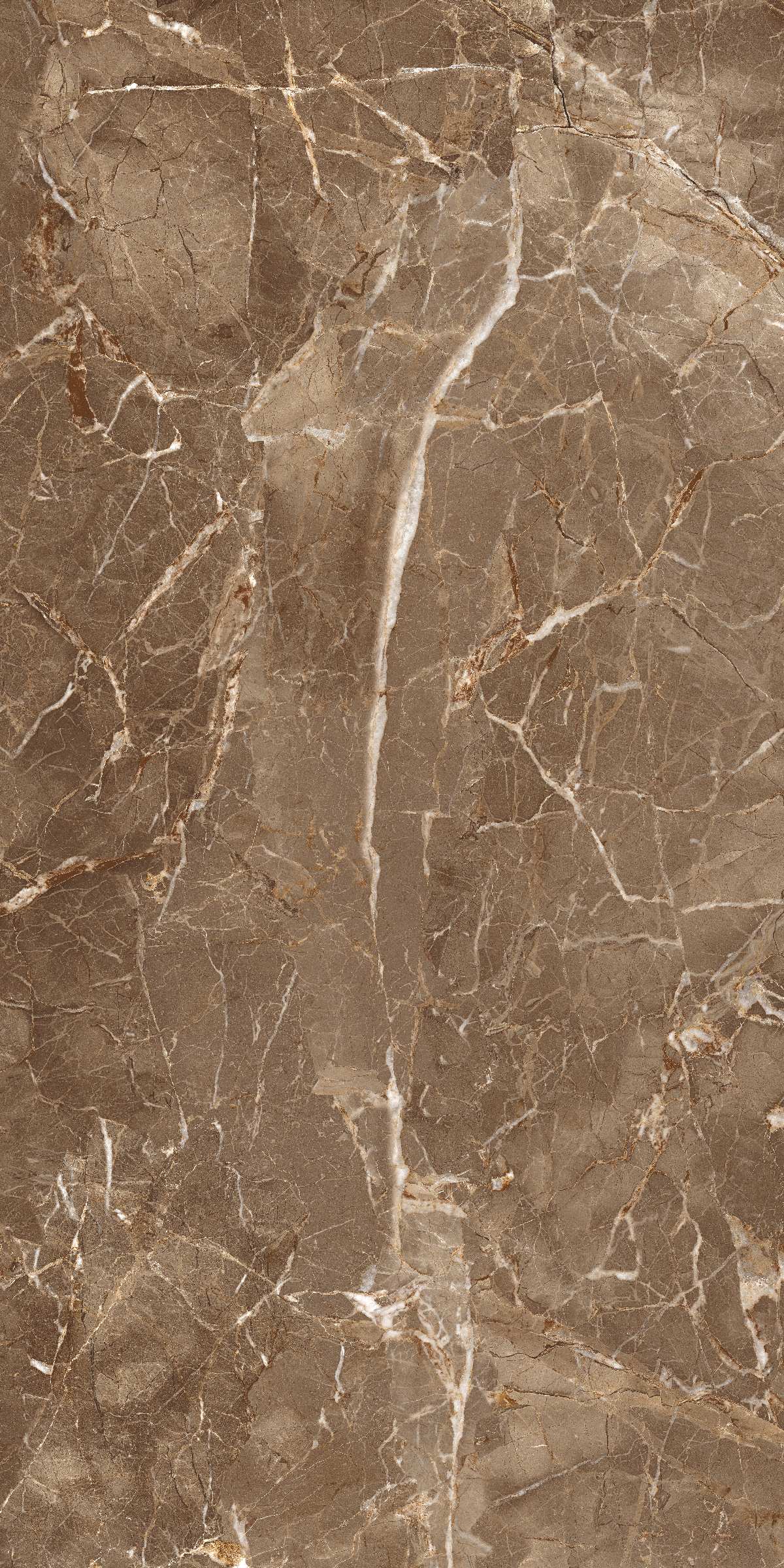 Morris Brown (Vitro) 60x120 LV Granito