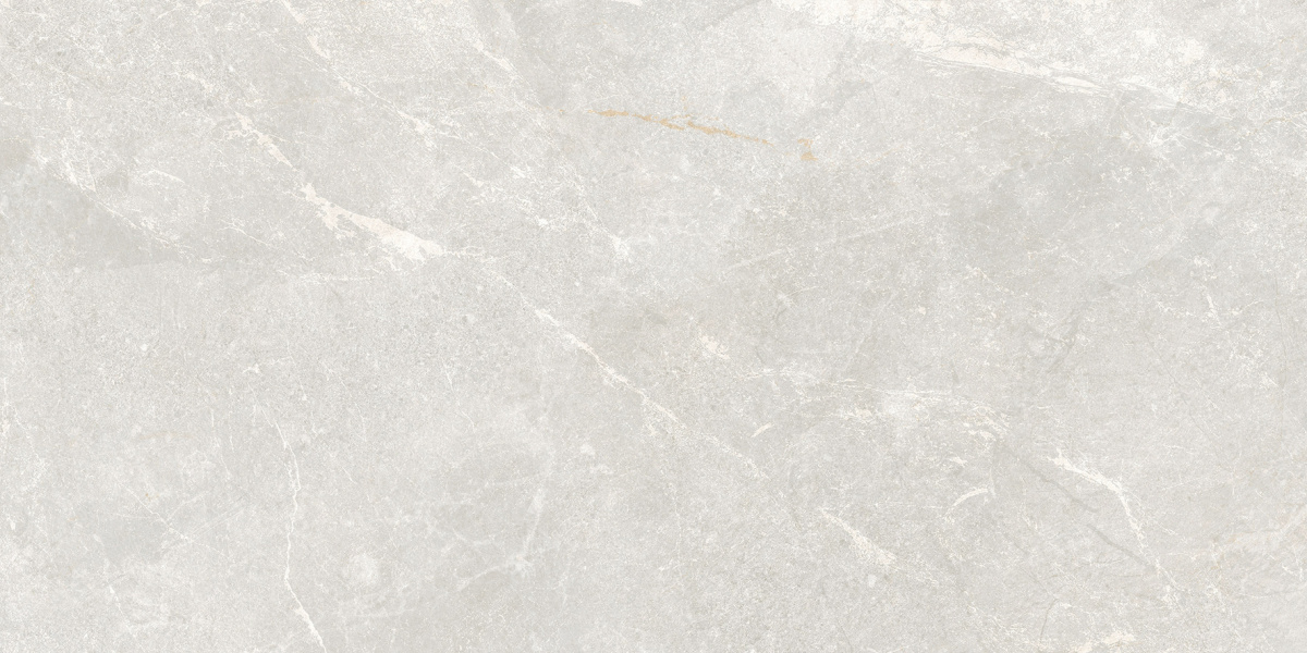 Rocky Bianco PRO светло-серый матовый R10GR STR CB 60х120 Laparet