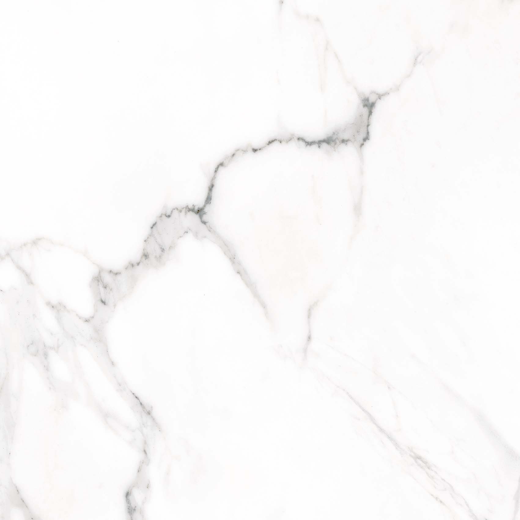 Doney-R Blanco 59.3x59.3 VIVES