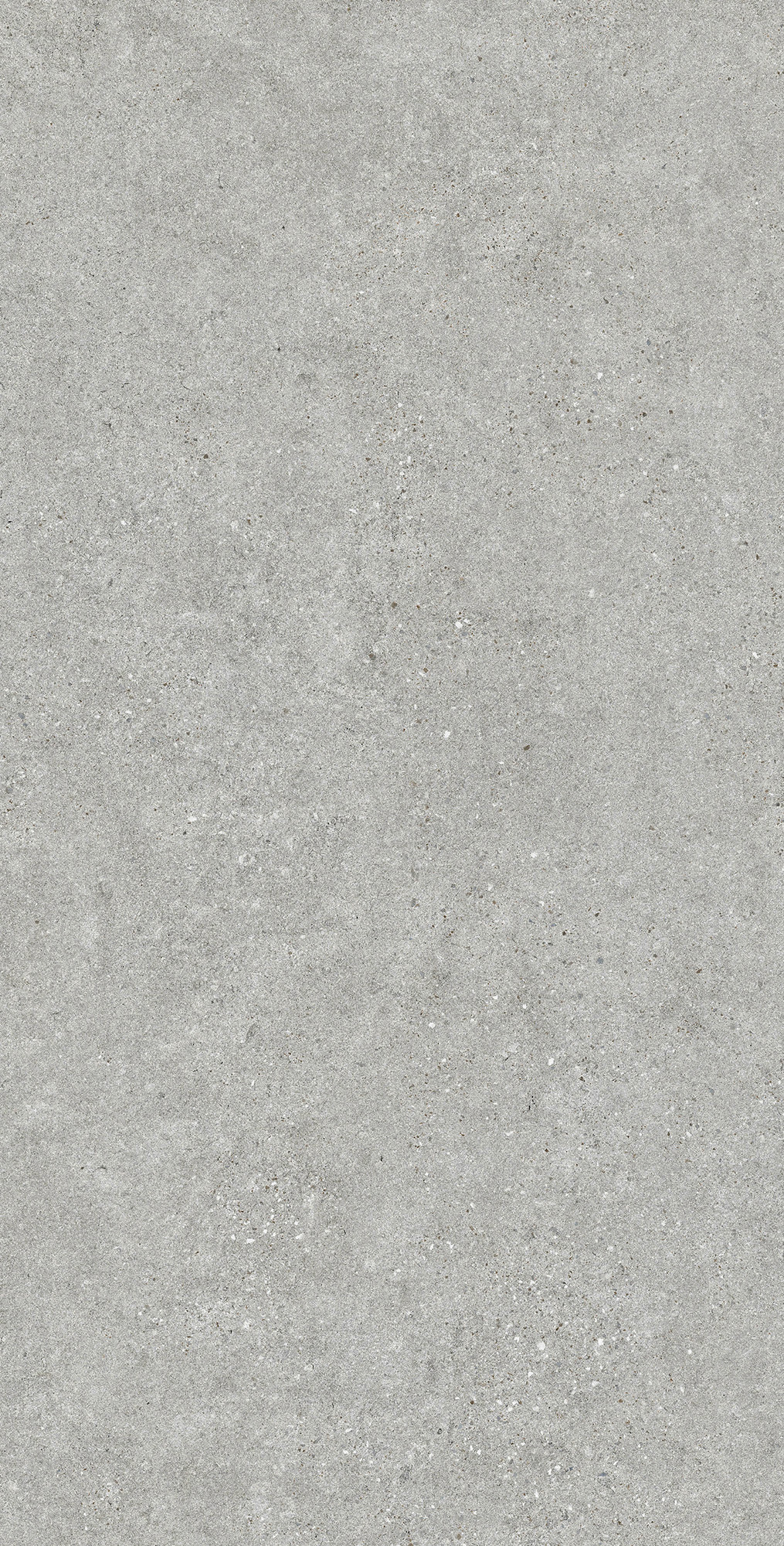 EV1001-A Bottega Acero Evan 60x120 Creanza фото 2