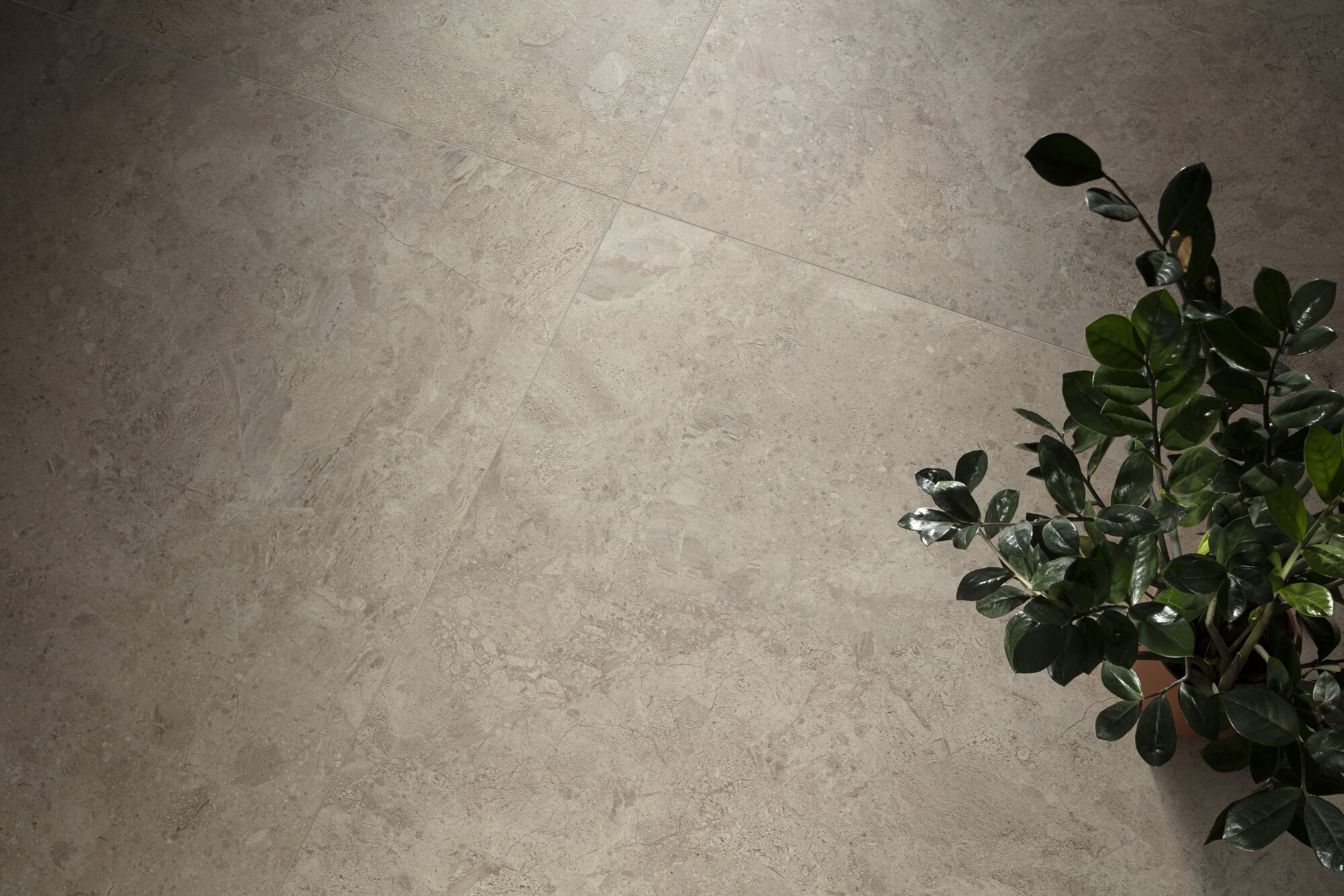 Ardara Peronda фото 9