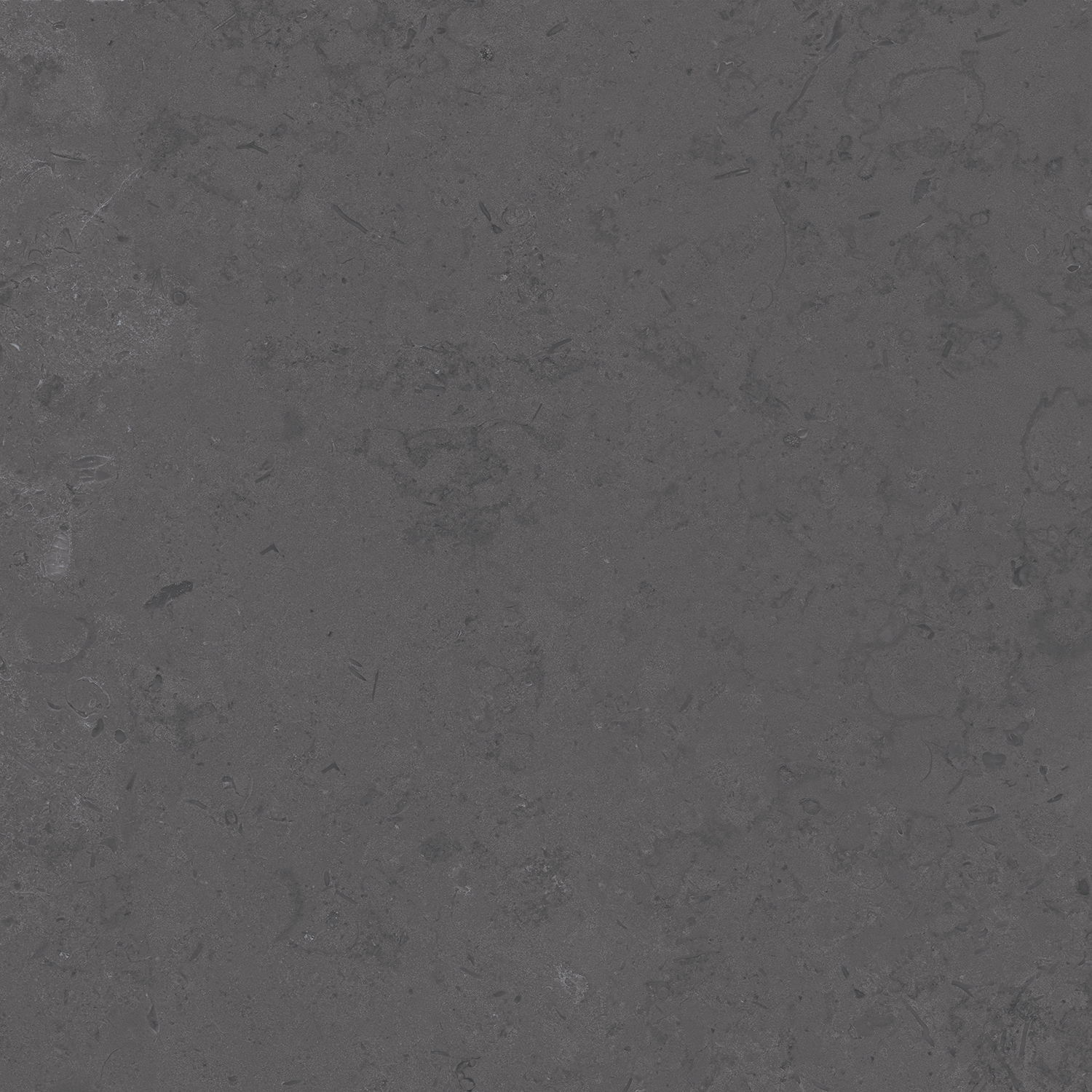 DD640820R Про Лаймстоун серый темный натуральный обрезной 60х60 Kerama Marazzi